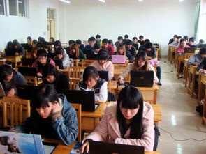 建筑裝飾工程技術專業(yè)中的工程技術服務